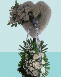 A endless love and kindness